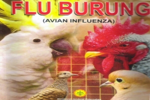 Waspadai Flu Burung, Pemkot Bentuk Tim Lapangan