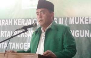 Wakil Ketua DPW PPP Banten, Achmad Fauzi.