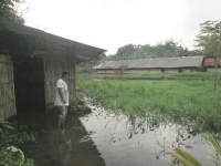 Salah seorang petani ternak tengah memeriksa kandang dan empang miliknya yang terendam banjir akibat drainase yang ada disekitar empang di urug pengembang