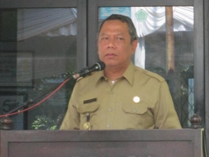 Wakil Walikota Tangsel, Benyamin Davnie