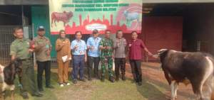 Jelang Idul Adha 1444 H, PT IKPP Tangerang Mill Berikan Puluhan Hewan Qurban