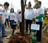 1000 Pohon Ditanam di Tandon Ciater
