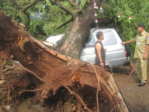  Sekretaris Kelurahan Pondok Betung, Racmat SE bersama warga saat di lokasi pohon tumbang