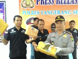 Kapolres Tangsel saat menunjukan barbuk narkoba jenis ganja dari tukang ojek di wilayah Kelurahan Serua, Ciputat.