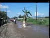 Warga Tanami Pohon Pisang Di Jalan Perbatasan Kota/Kabupaten