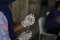 Menyambut HUT ke-78 RI, DKP Kota Tangerang Akan Gelar Vaksinasi Rabies Gratis, Segera Daftar!