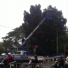 Perbaikan Lampu Jalan Di Bintaro