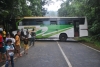 Diduga Rem Blong, Bus Akap Tabrak Pohon