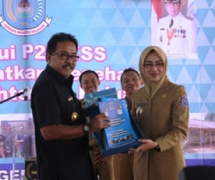 Wakil Gubenur Banten, Rano Karno dan Airin Rachmi Diany