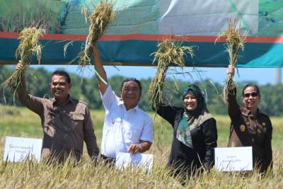 Pj Gubernur Banten Al Muktabar Panen Padi Bersama di Pandeglang