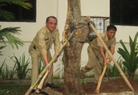 Rahmat Salam saat menanam pohon Kelor di area kantor BLHD