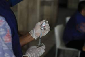 Menyambut HUT ke-78 RI, DKP Kota Tangerang Akan Gelar Vaksinasi Rabies Gratis, Segera Daftar!