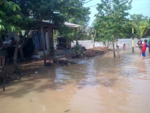 Tigaraksa- Ratusan rumah warga terendam air akibat hujan deras. (14/11)dt
