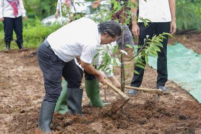 Gerakan Penanaman 1.000 Pohon, Pj Gubernur Banten Al Muktabar Pilih Tanaman Durian Lokal