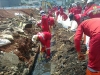 DBMSDA Berhasil Tangani 27 Blok Banjir di Tangsel