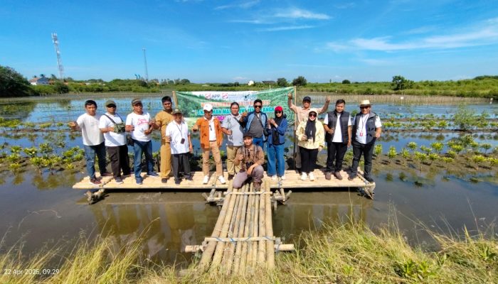 Gebyar Hari Bumi 2025, IKPP Tangerang bersama Pemkab Tangerang Tanam Mangrove Jenis Langka