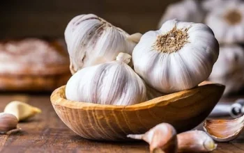 Jarang Diketahui, Bawang Putih Ampuh Usir Hama dalam Rumah