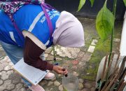 Menjelang Musim Penghujan, Dinkes Tangsel Minta Masyarakat Waspada DBD