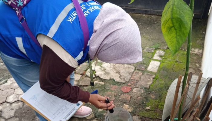 Menjelang Musim Penghujan, Dinkes Tangsel Minta Masyarakat Waspada DBD