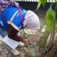 Menjelang Musim Penghujan, Dinkes Tangsel Minta Masyarakat Waspada DBD