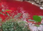 Air Kali Rawa Buntu Berubah Merah, DLH Tangsel Curigai Pewarna Makanan