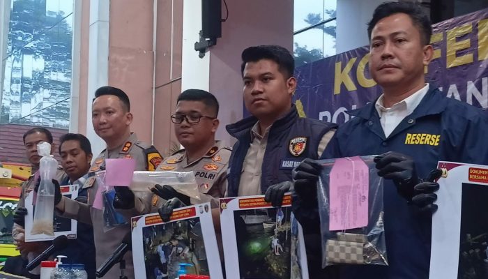 Polisi Gagalkan 15 Kali Penyelundupan Benih Lobster, Komplotan Raup Rp12,5 Miliar