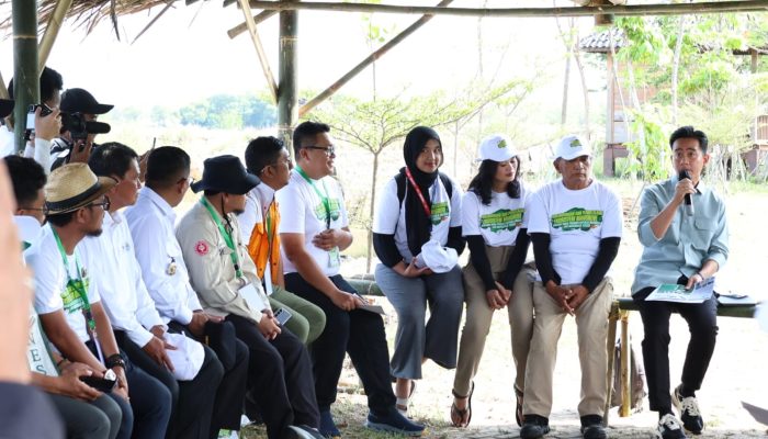 Bupati Tangerang Dampingi Wapres RI Gibran Rakabuming Raka Tanam Mangrove