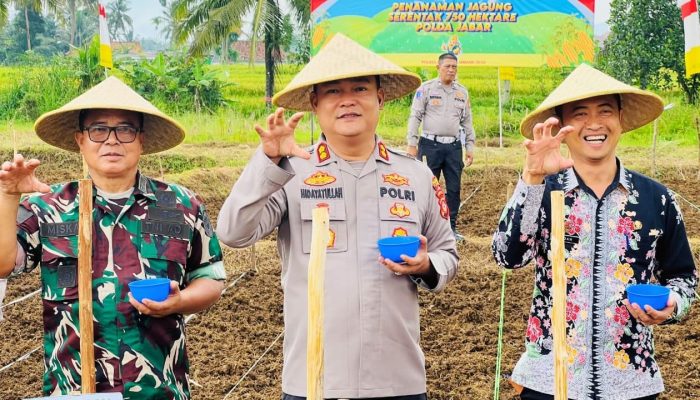 Polres Ciamis Dukung Swasembada Pangan Melalui Penanaman Jagung Serentak 750 Hektare