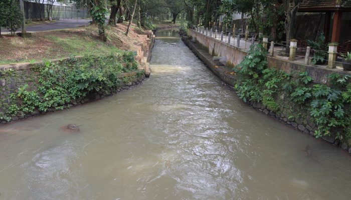 Kali Jaletreng Diduga Tercemar Usai Kebakaran Pabrik Pestisida, Pemkot Tangsel Turunkan Tim DLH