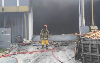 Kebakaran Gudang Pestisida Tangsel Cemari Aliran Sungai hingga Ikan Mati