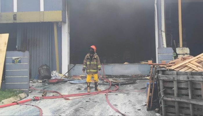 Kebakaran Gudang Pestisida Tangsel Cemari Aliran Sungai hingga Ikan Mati