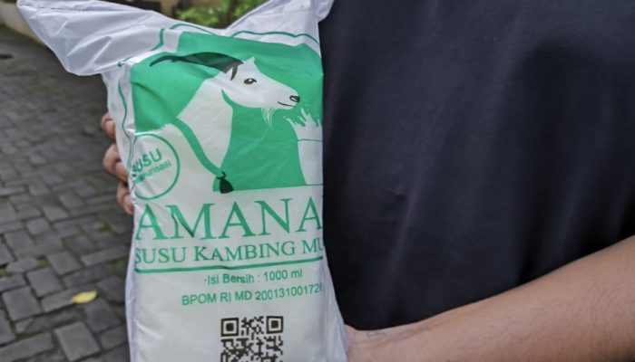 Halal Bihalal TACO di Kampung Ternak Amanah: Susu Kambing Etawa Jadi Sorotan, Ini Manfaatnya