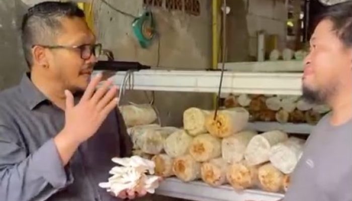 Dinilai Jadi Penggerak Ekonomi Warga, Syamsul Hariyanto Dorong Pengembangan Budidaya Jamur Crispy di Serpong